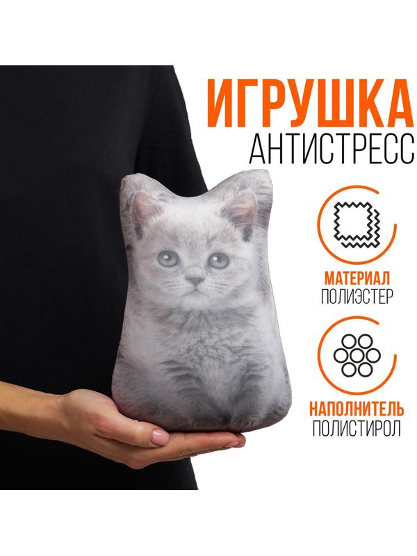 Антистресс игрушка «Котёнок серый»