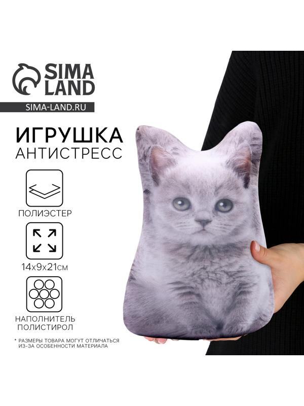 Антистресс игрушка «Котёнок серый»