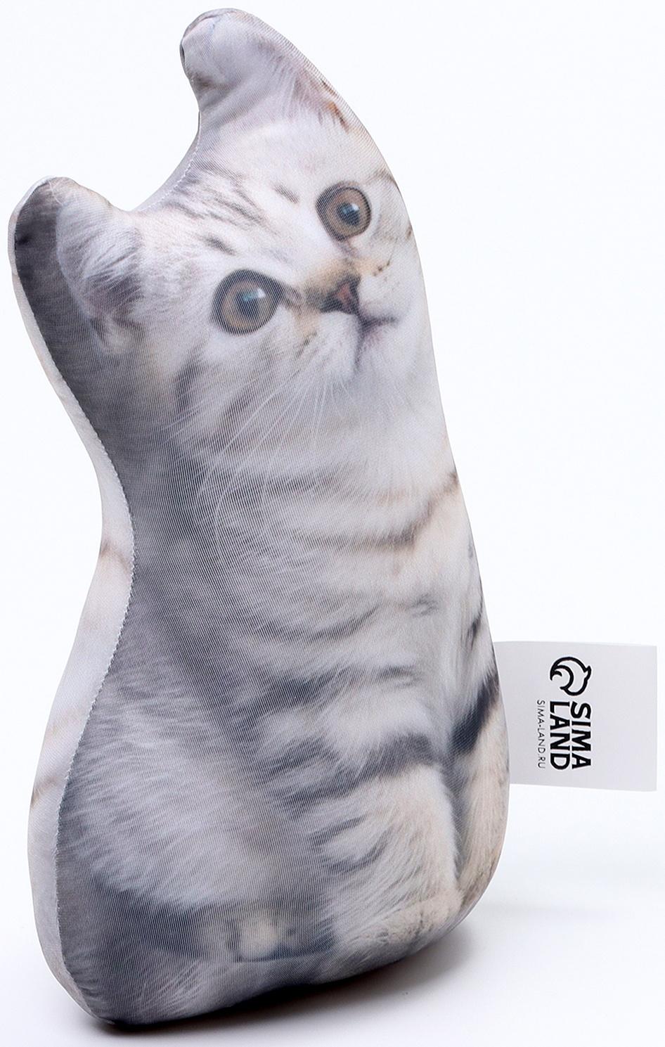 Антистресс игрушка, кот 