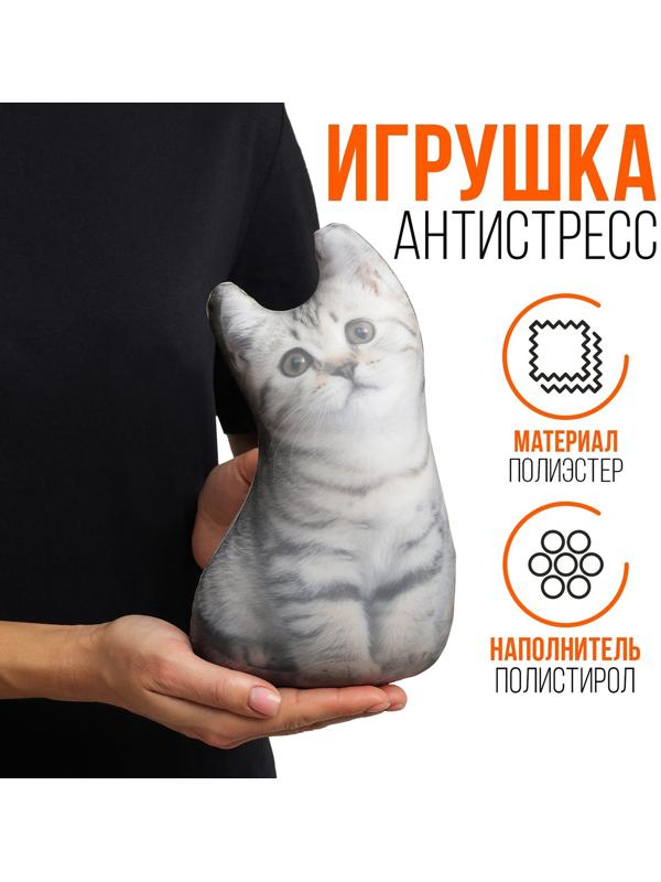 Антистресс игрушка, кот 