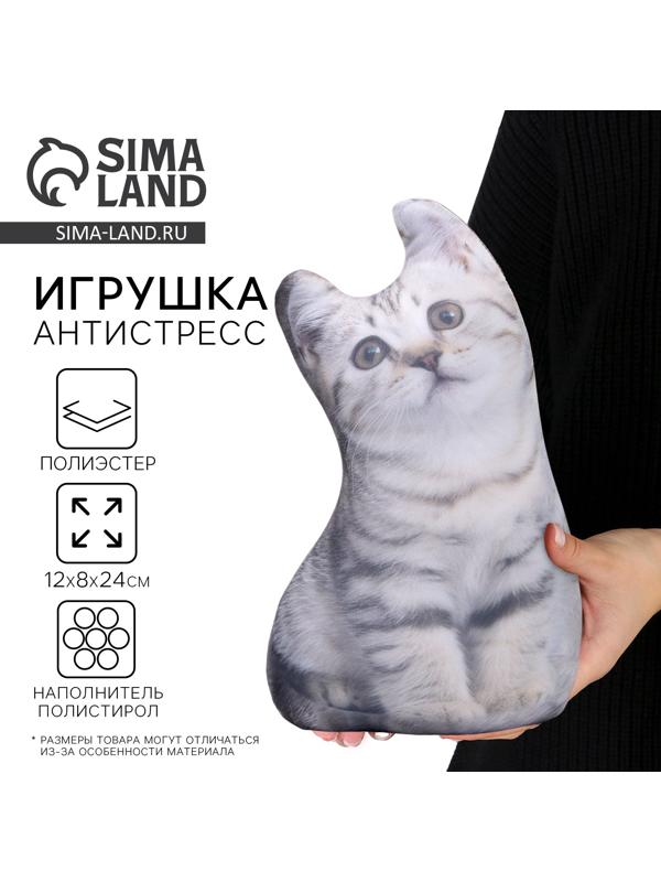 Антистресс игрушка, кот 
