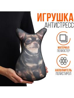 Антистресс игрушка, собака 