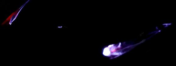 Машинка металлическая «Купе», 1:28, световые и звуковые эффекты, открываются двери, цвет красный