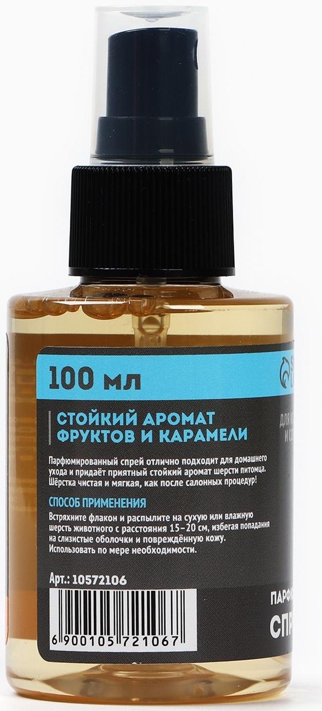 Парфюмированный спрей для животных Groomroom, аромат «Фрукты в карамели», 100 мл