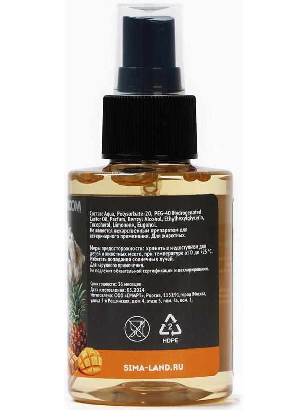 Парфюмированный спрей для животных Groomroom, аромат «Фрукты в карамели», 100 мл