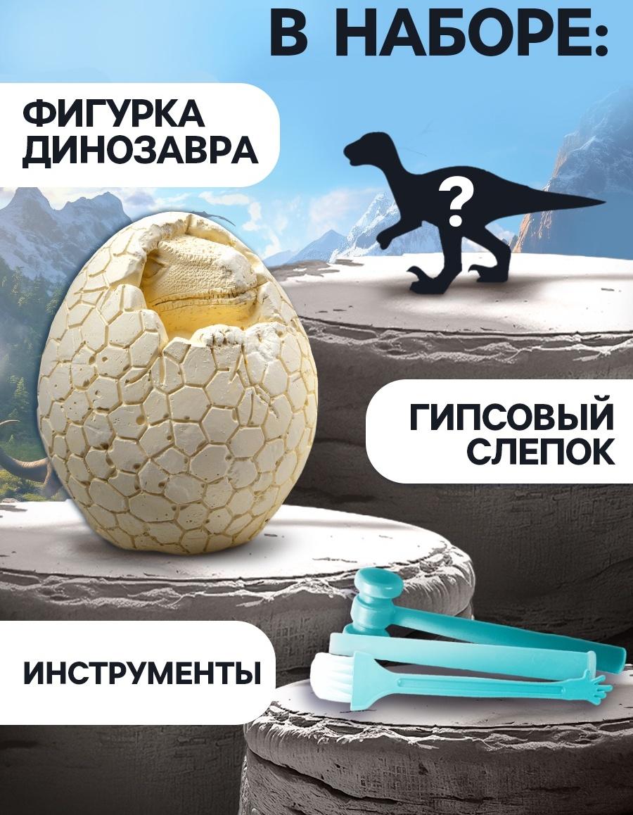 Набор для раскопок «Диномир», гипсовое яйцо, инструменты, 5+