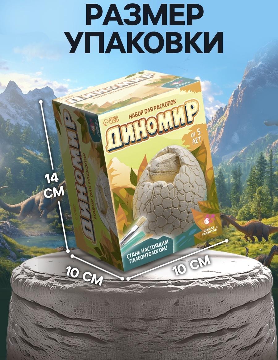Набор для раскопок «Диномир», гипсовое яйцо, инструменты, 5+