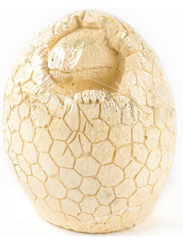 Набор для раскопок «Диномир», гипсовое яйцо, инструменты, 5+