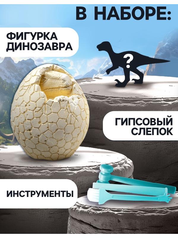 Набор для раскопок «Диномир», гипсовое яйцо, инструменты, 5+