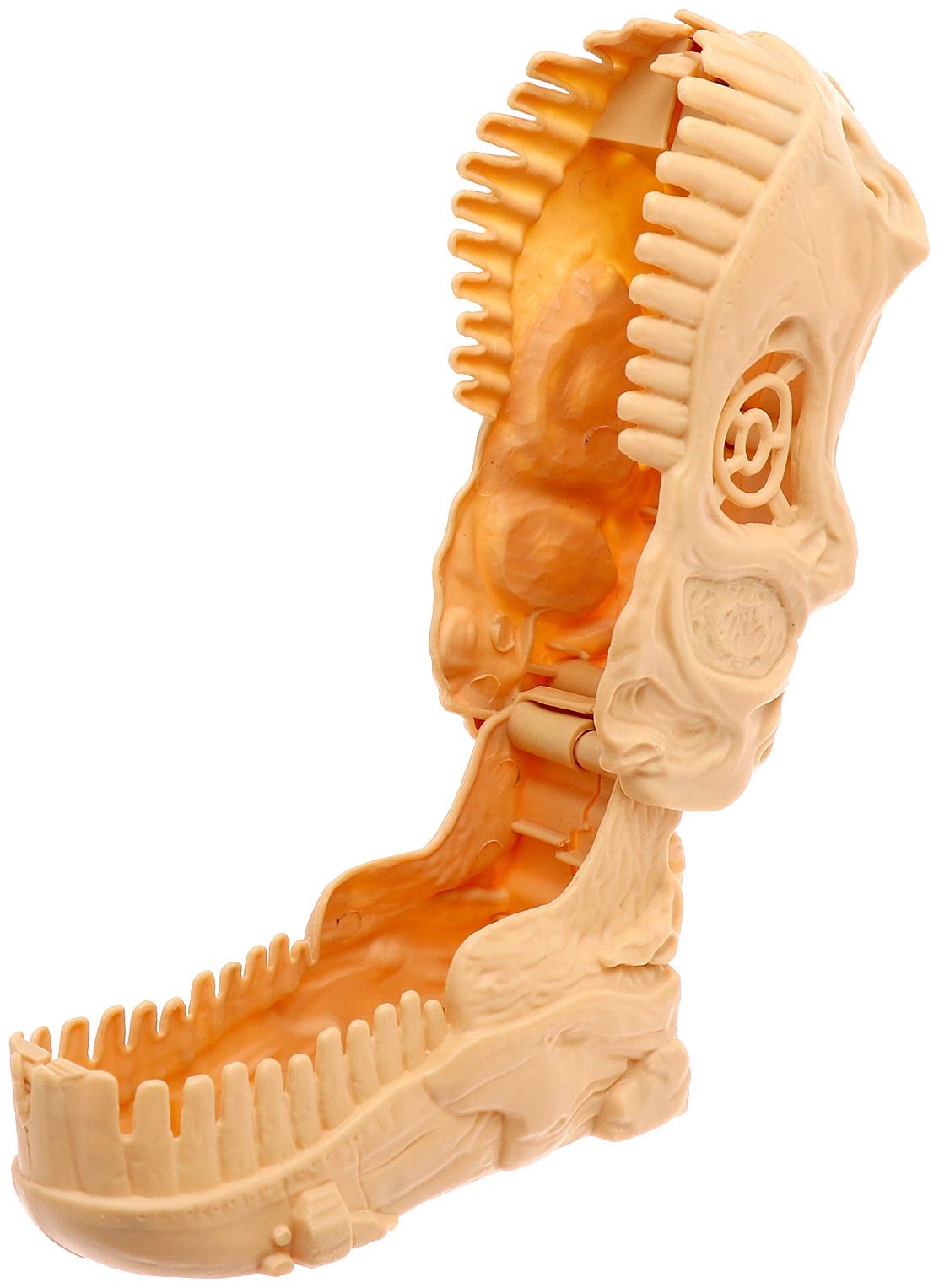 Игрушка-сюрприз «Диночереп», инерционная машинка, 12 видов