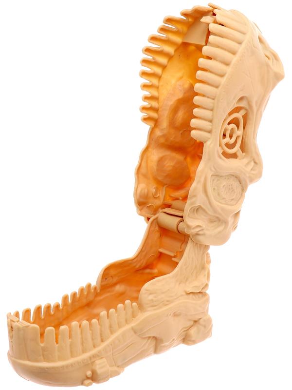 Игрушка-сюрприз «Диночереп», инерционная машинка, 12 видов