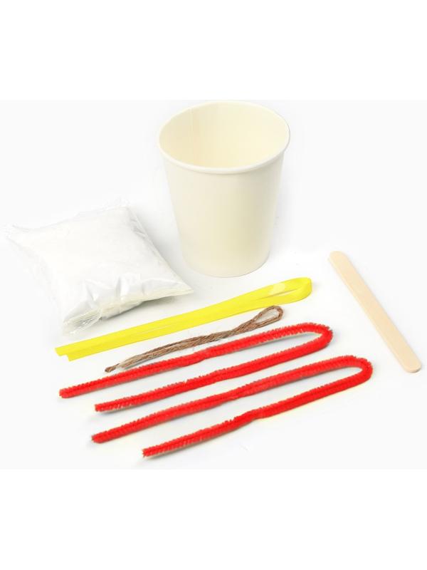 Выращивание новогоднего кристалла «DISNEY. Микки Маус», набор для опытов