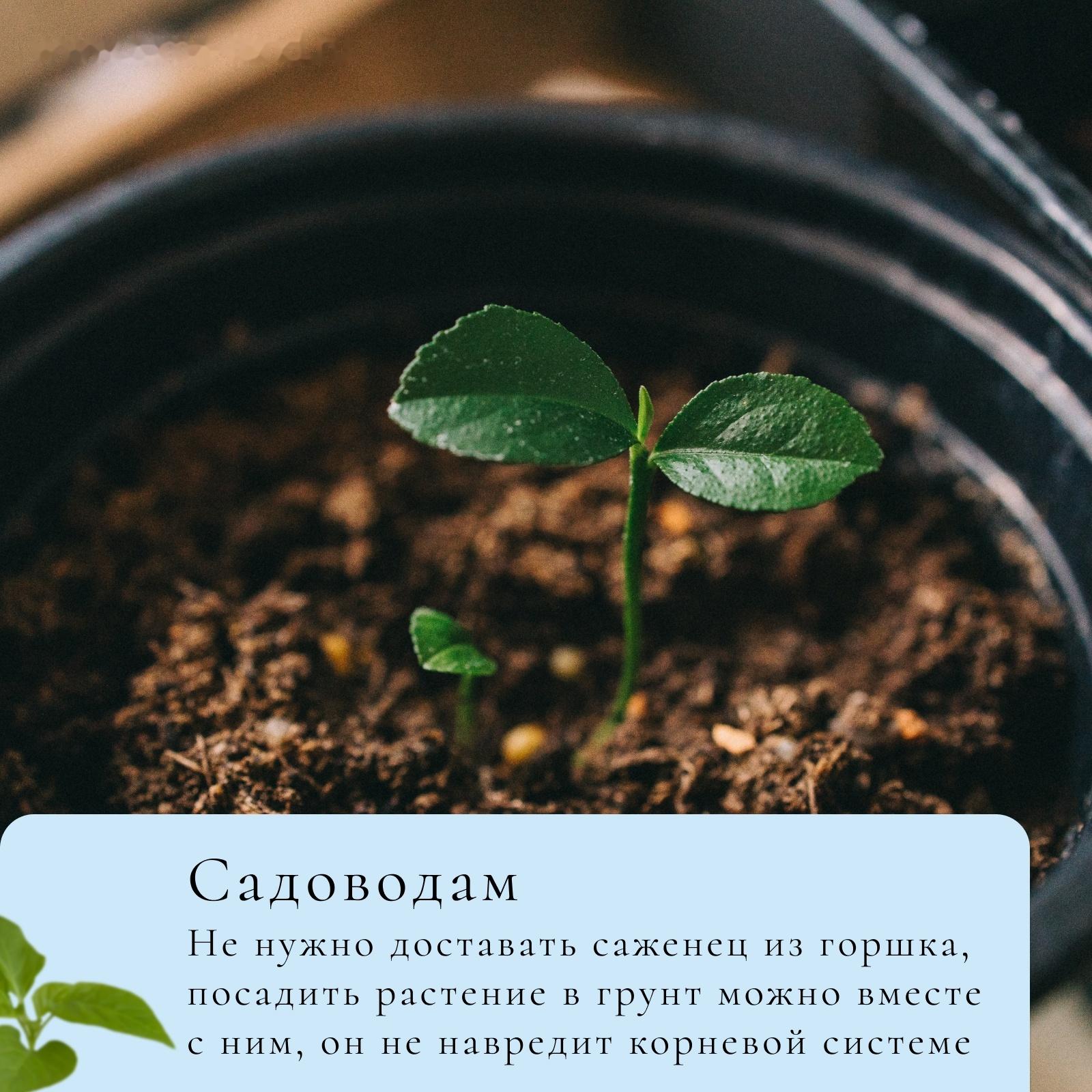 Инструмент для изготовления бумажных горшков для рассады