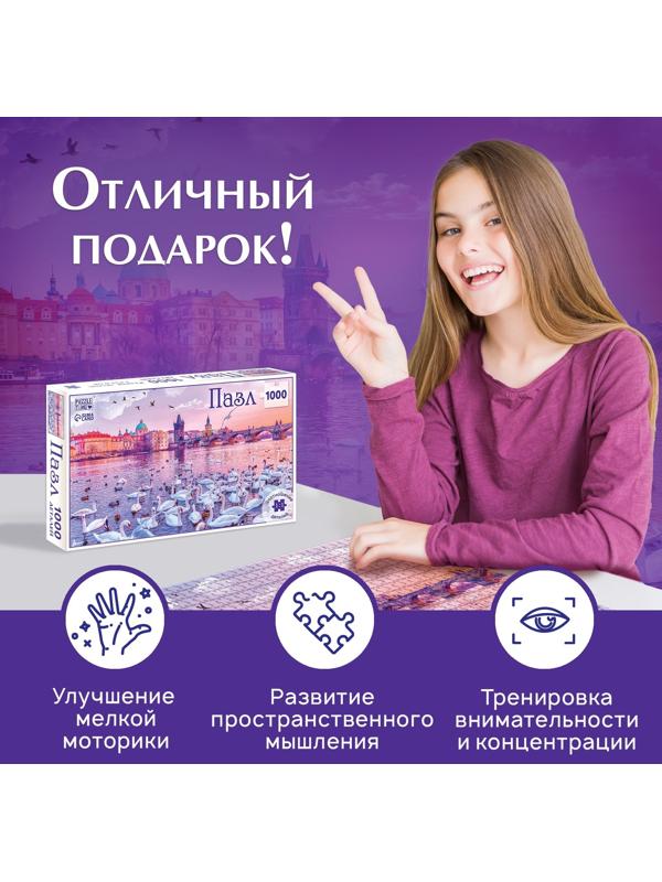 Пазл «Фантастические мечты», 1000 деталей