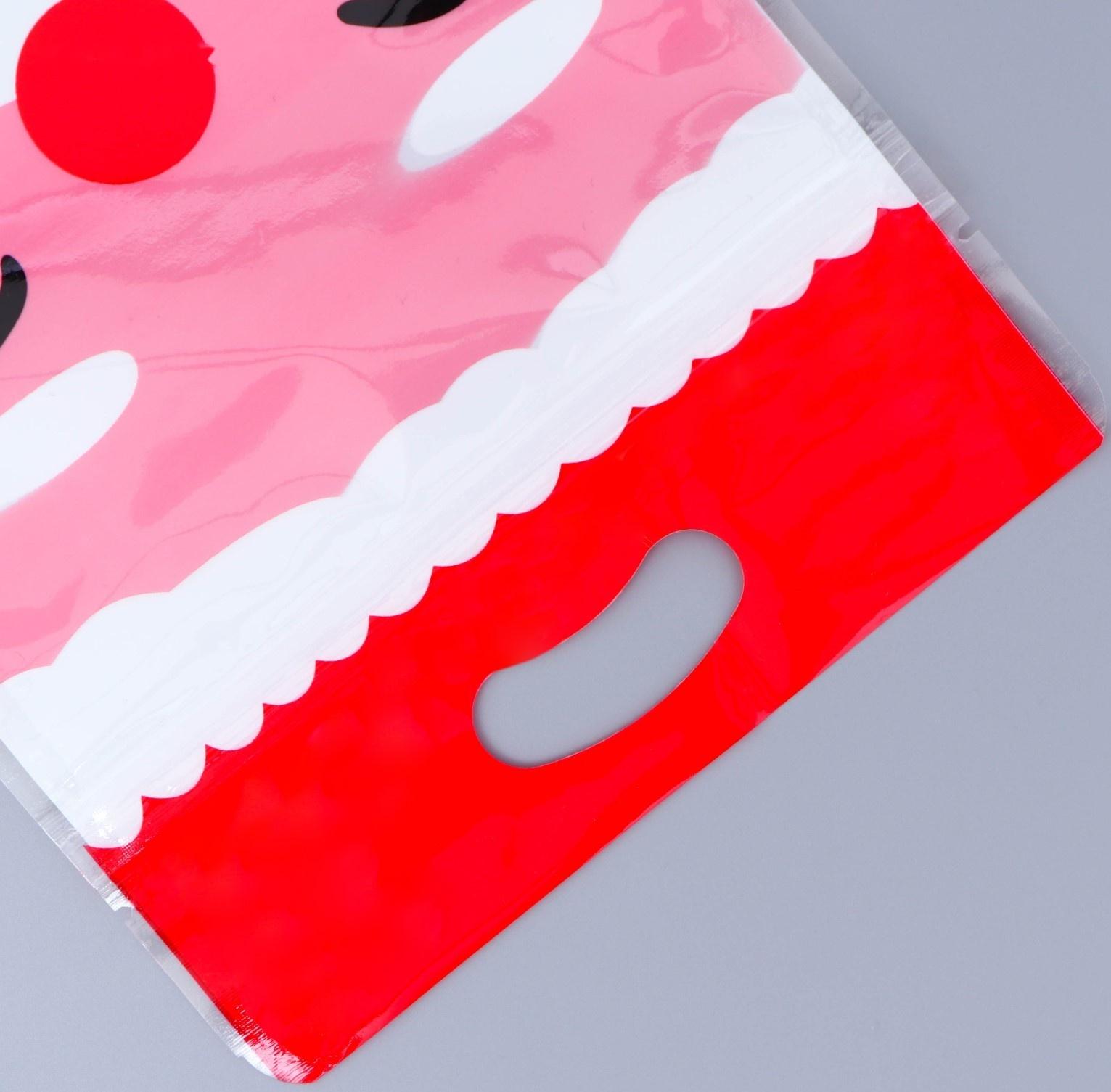 Пакет подарочный, с zip-lock застежкой, 