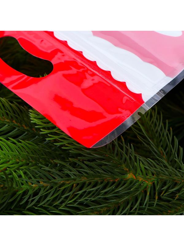 Пакет подарочный, с zip-lock застежкой, 