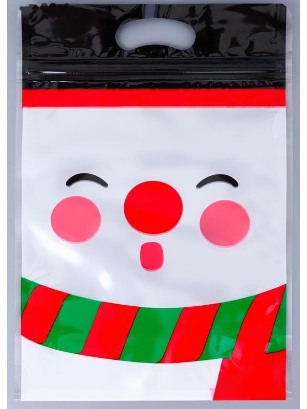 Пакет подарочный, с zip-lock застежкой, 