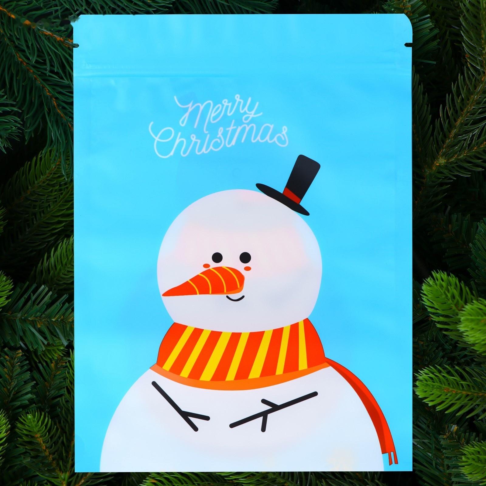 Пакет подарочный, с zip-lock застежкой, 