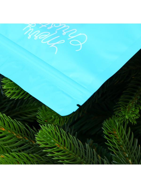 Пакет подарочный, с zip-lock застежкой, 