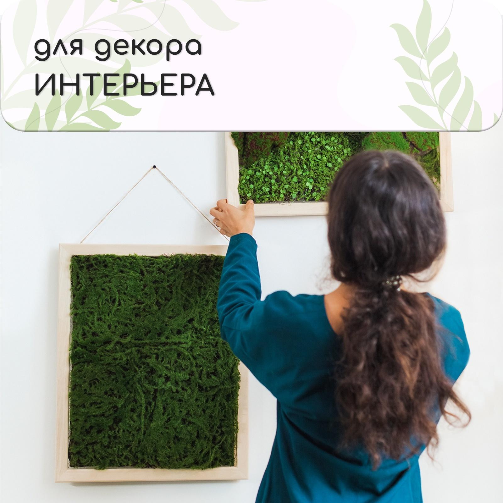 Декоративная панель, 90×40 см, «Папоротник», Greengo