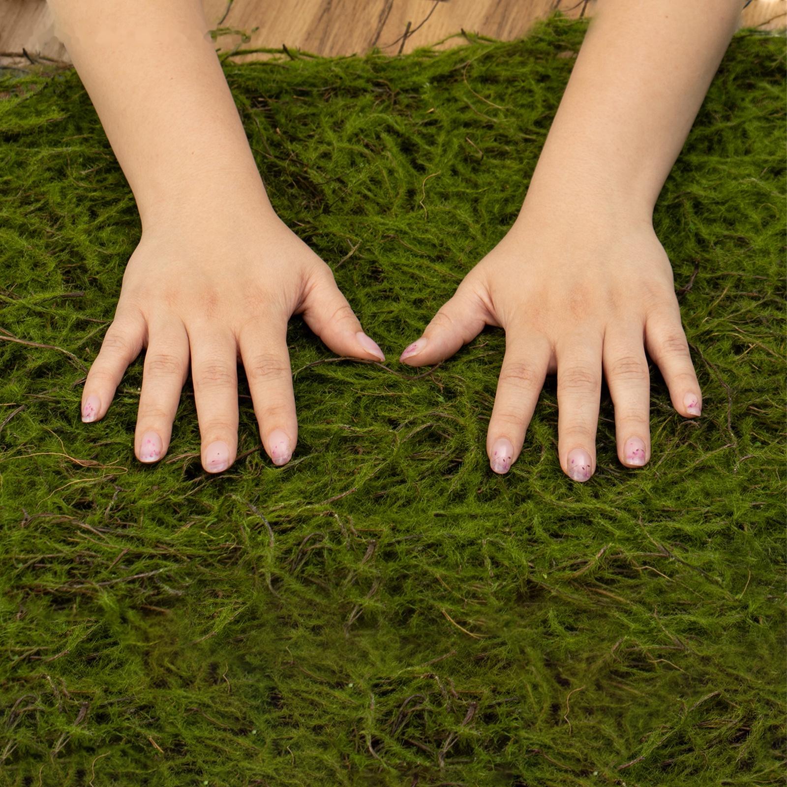 Декоративная панель, 90×40 см, «Папоротник», Greengo