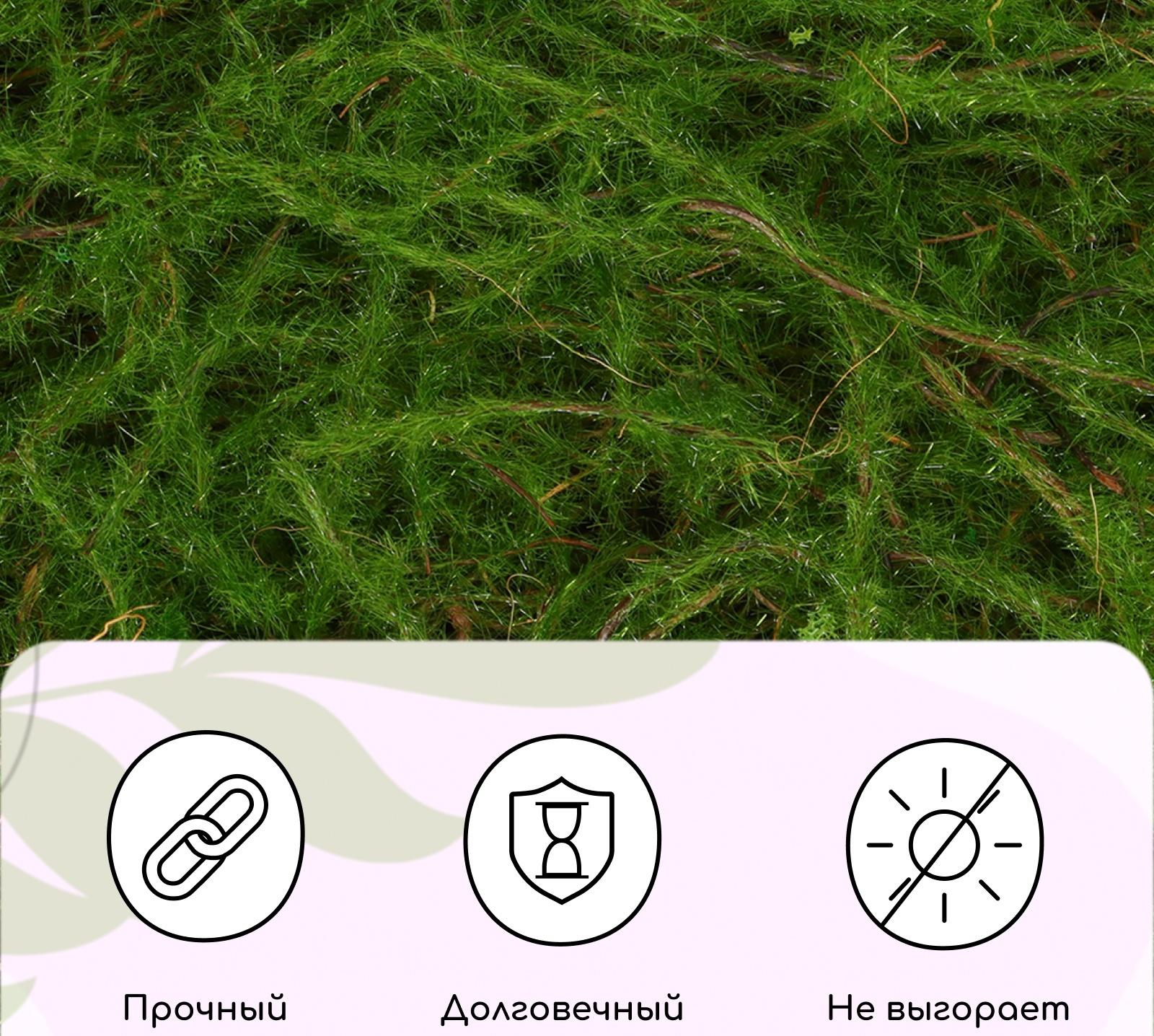 Декоративная панель, 90×40 см, «Папоротник», Greengo