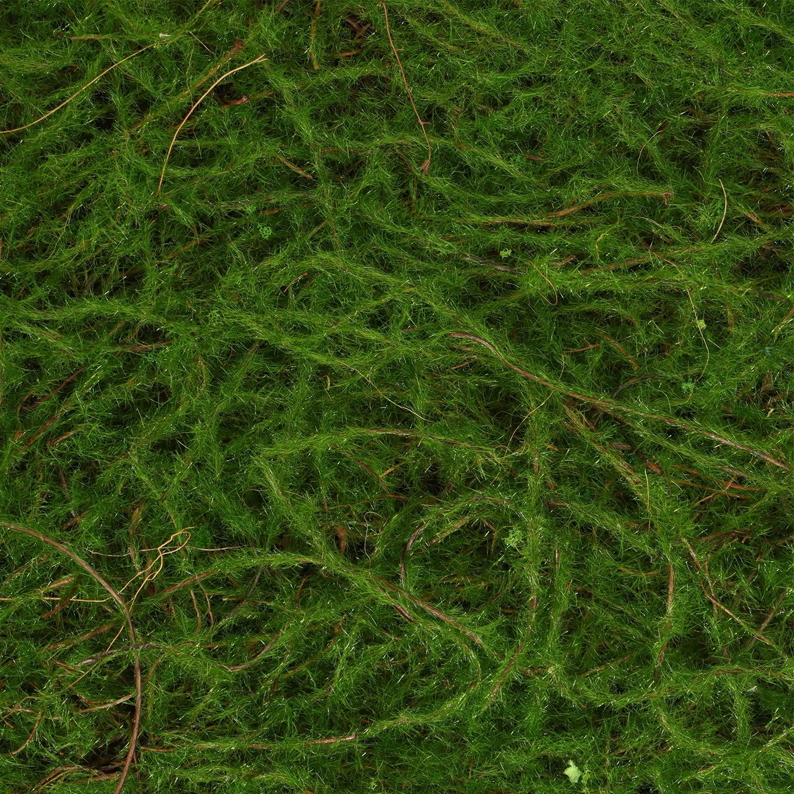 Декоративная панель, 90×40 см, «Папоротник», Greengo