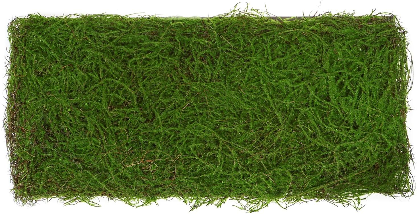 Декоративная панель, 90×40 см, «Папоротник», Greengo