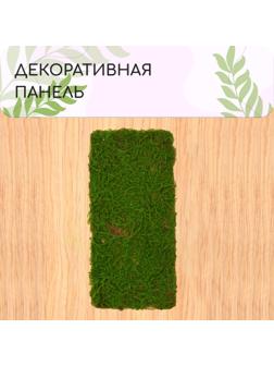 Декоративная панель, 90×40 см, «Папоротник», Greengo