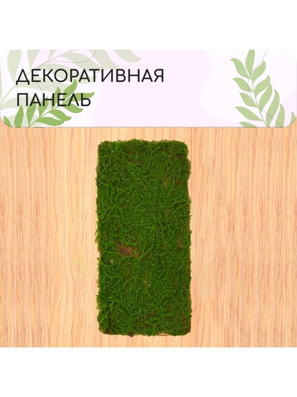 Декоративная панель, 90×40 см, «Папоротник», Greengo