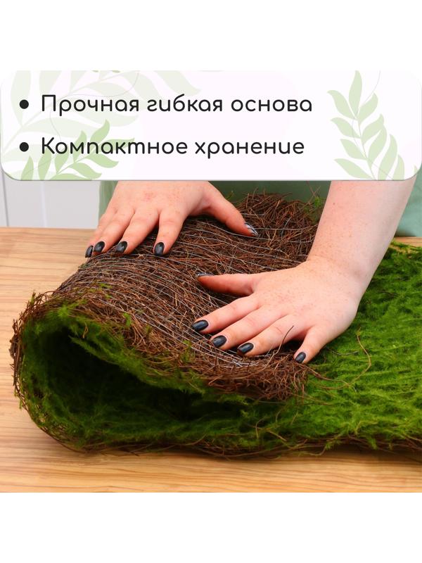 Декоративная панель, 90×40 см, «Папоротник», Greengo