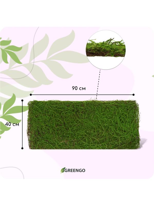Декоративная панель, 90×40 см, «Папоротник», Greengo