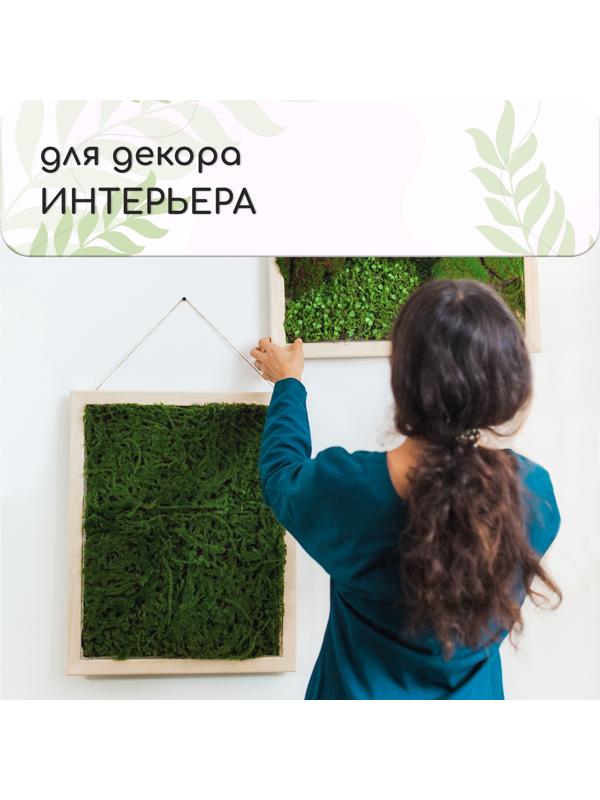Декоративная панель, 90×40 см, «Папоротник», Greengo