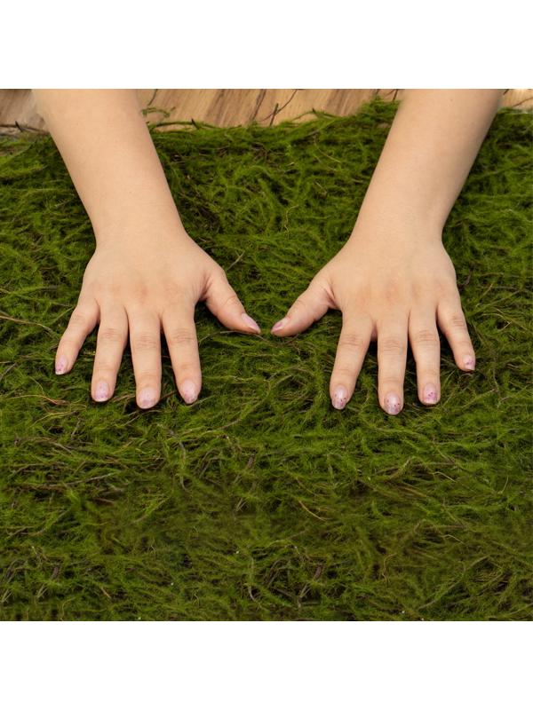 Декоративная панель, 90×40 см, «Папоротник», Greengo