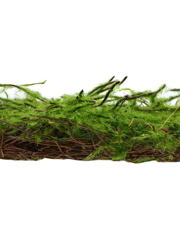 Декоративная панель, 90×40 см, «Папоротник», Greengo