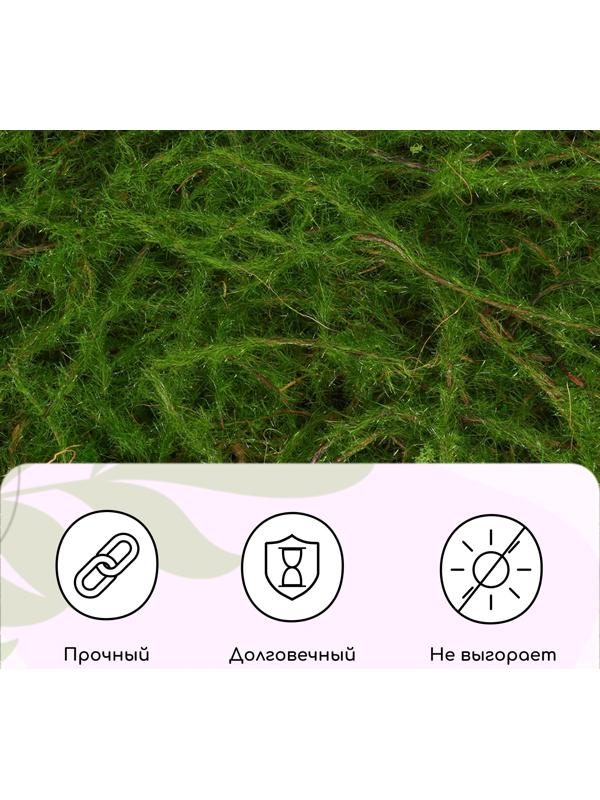 Декоративная панель, 90×40 см, «Папоротник», Greengo