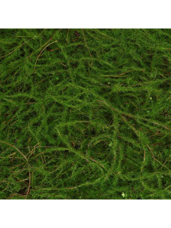 Декоративная панель, 90×40 см, «Папоротник», Greengo