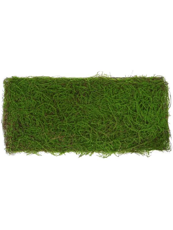 Декоративная панель, 90×40 см, «Папоротник», Greengo