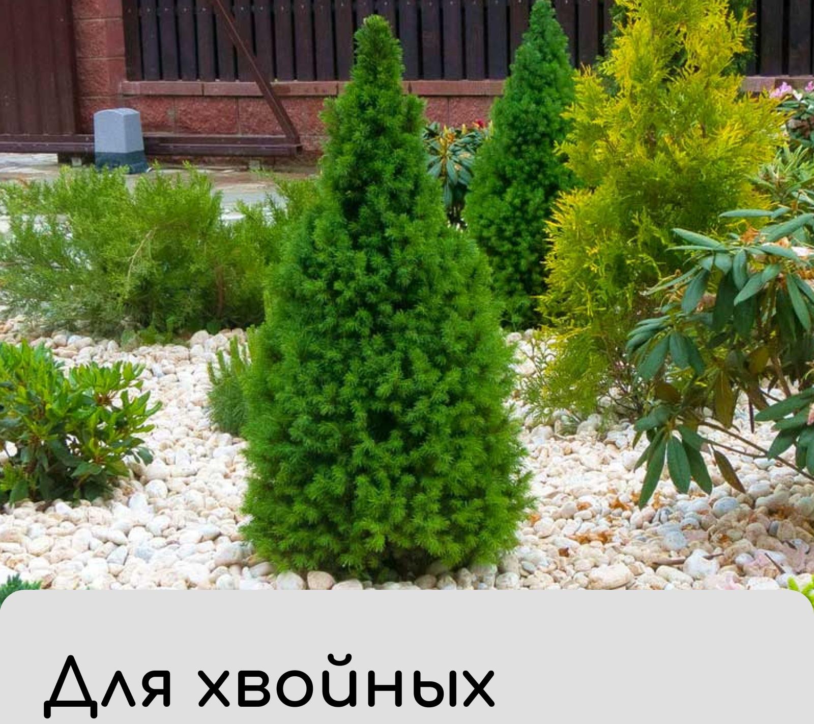 Чехол для растений, с петлями, 100×100 см, спанбонд с УФ-стабилизатором, плотность 60 г/м²