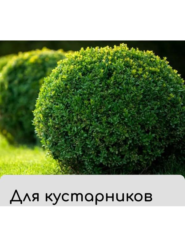 Чехол для растений, с петлями, 50×50 см, спанбонд с УФ-стабилизатором, плотность 60 г/м²