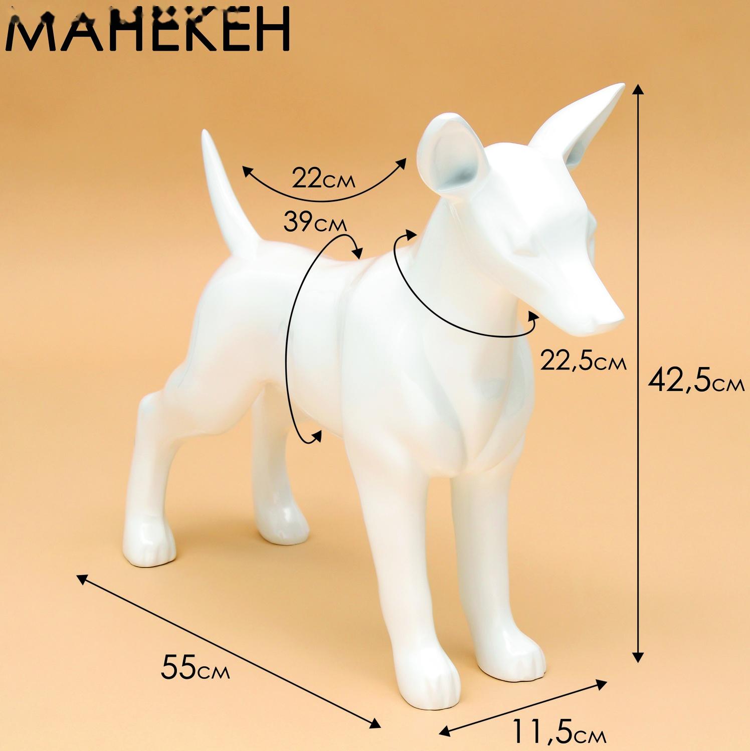 Манекен собаки, стоячий, разборный, фибергласс, белый