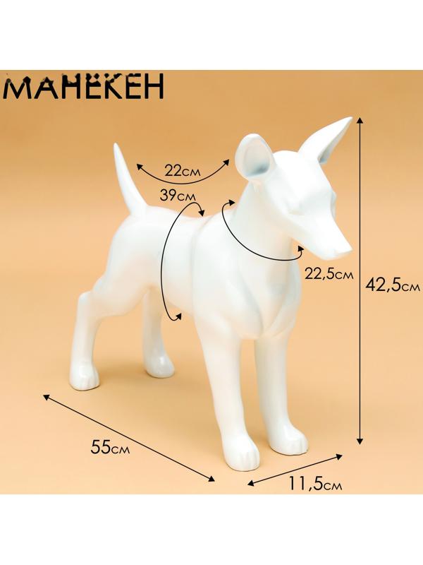 Манекен собаки, стоячий, разборный, фибергласс, белый