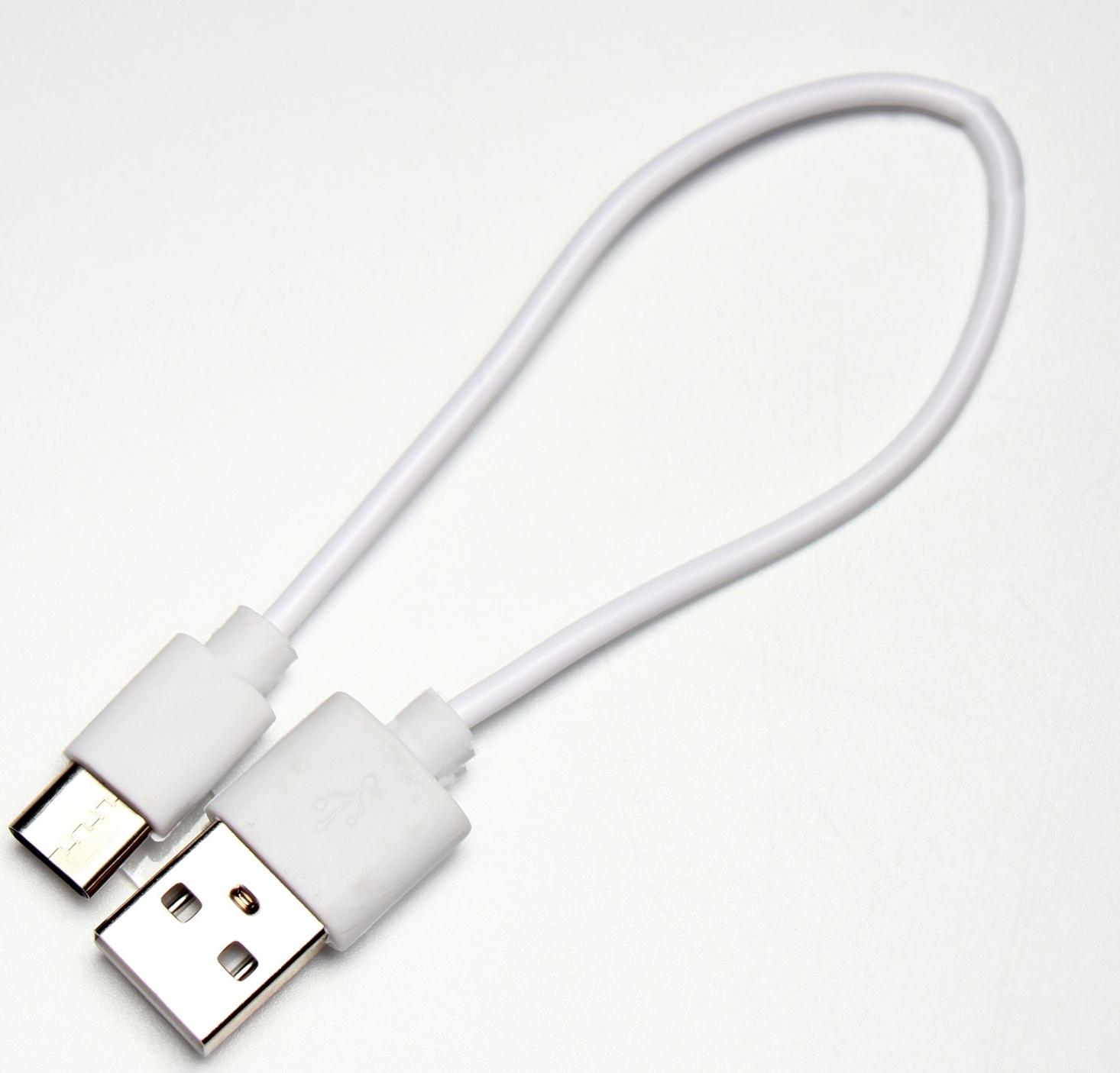 Паровая щетка-расческа для животных, с USB-зарядкой и выдвижной ручкой, белая