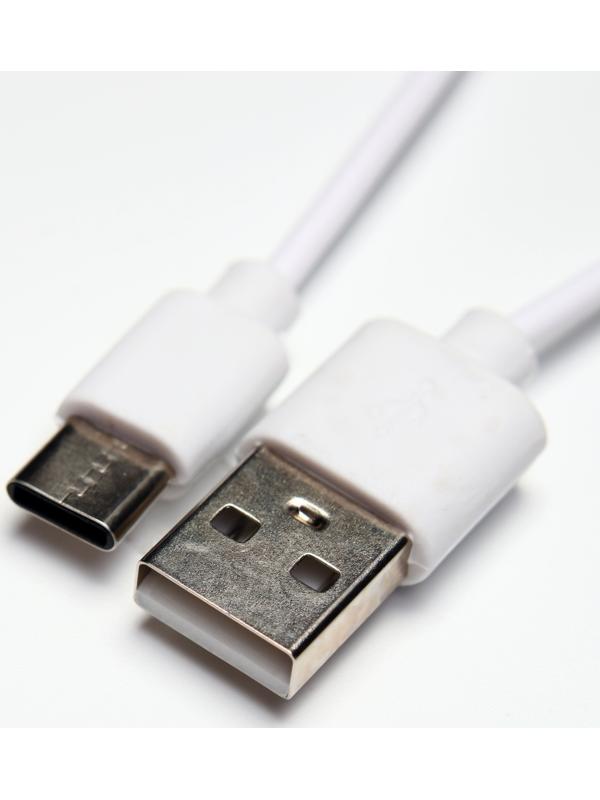 Паровая щетка-расческа для животных, с USB-зарядкой и выдвижной ручкой, белая