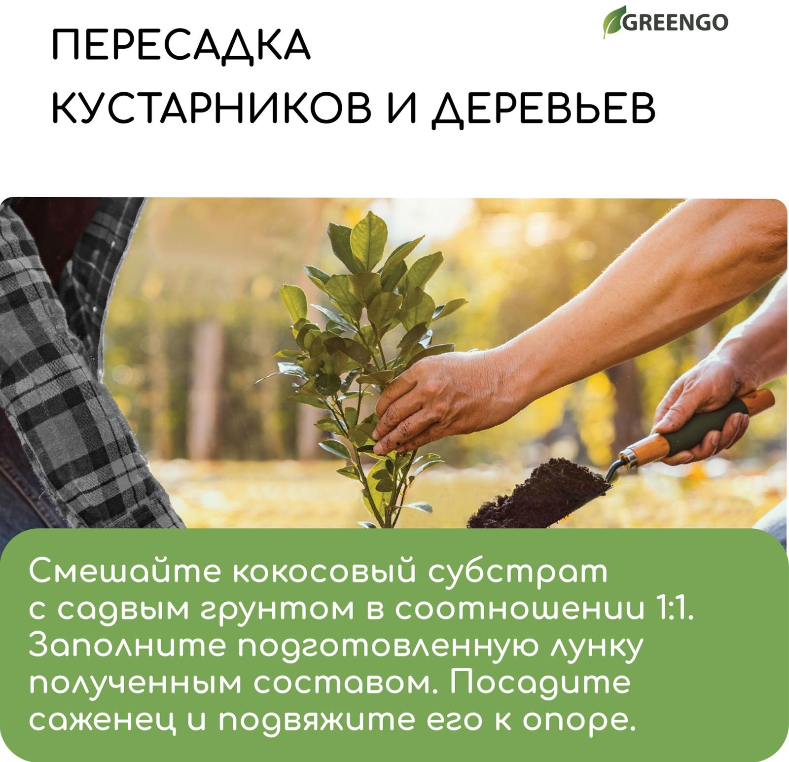 Субстрат кокосовый, универсальный, для террариумов и растений, в брикете, 25 л, 30% чипсы и 70% торф, Greengo