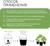 Субстрат кокосовый, универсальный, для террариумов и растений, в брикете, 25 л, 30% чипсы и 70% торф, Greengo