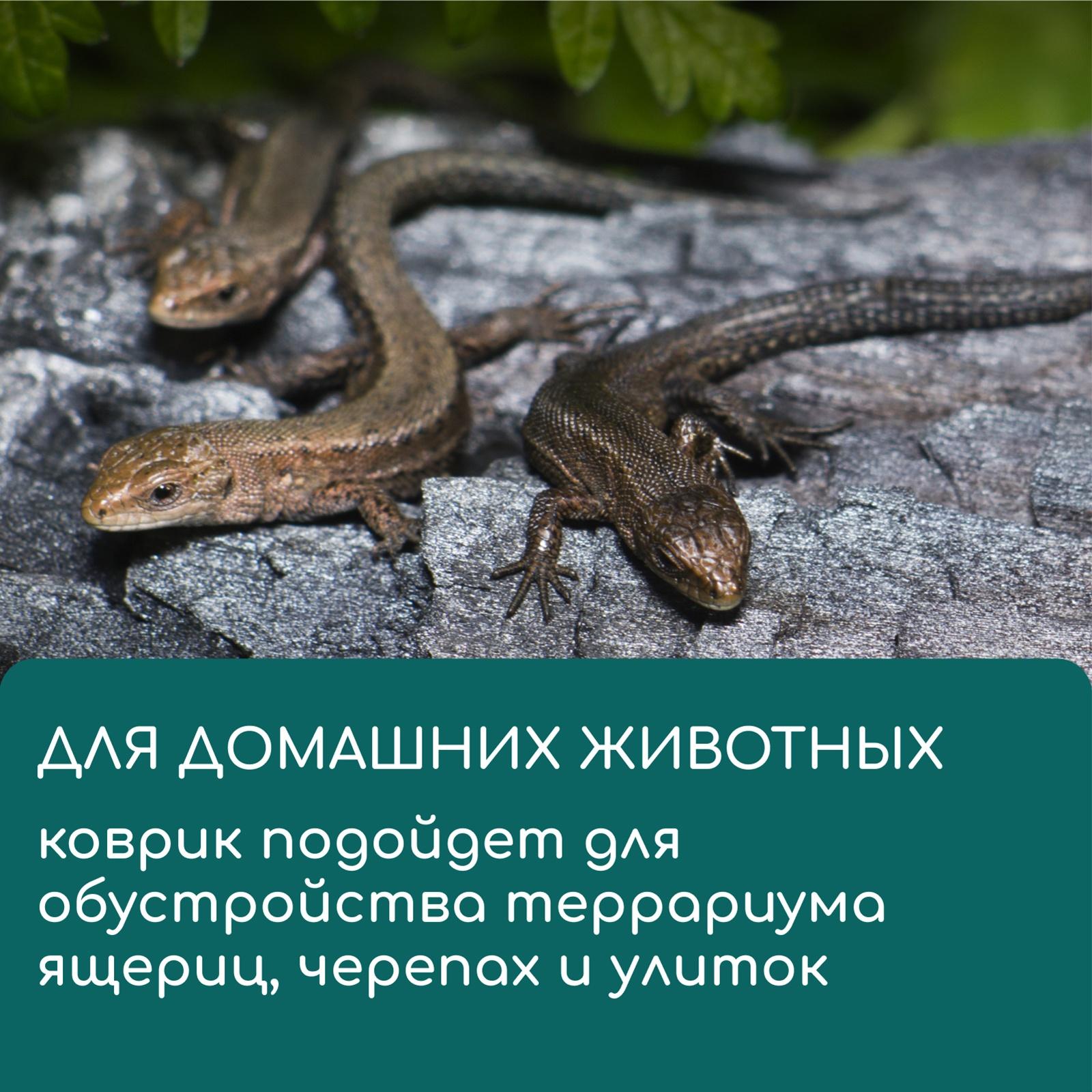 Коврик из кокосового волокна, для выращивания микрозелени, 50×25 см, Greengo