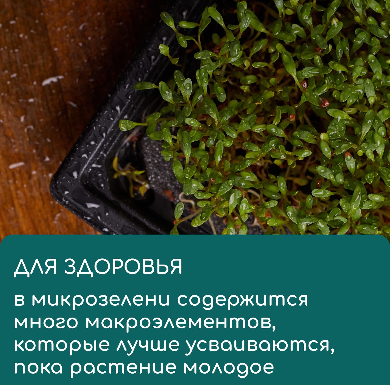 Коврик из кокосового волокна, для выращивания микрозелени, 50×25 см, Greengo