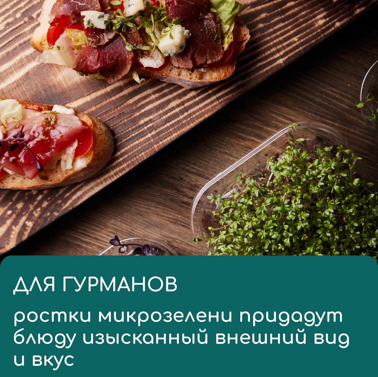 Коврик из кокосового волокна, для выращивания микрозелени, 50×25 см, Greengo