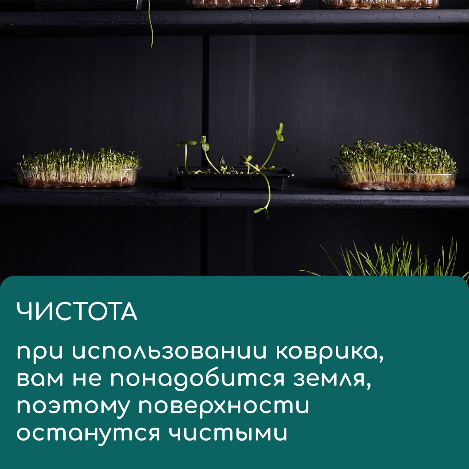 Коврик из кокосового волокна, для выращивания микрозелени, 50×25 см, Greengo